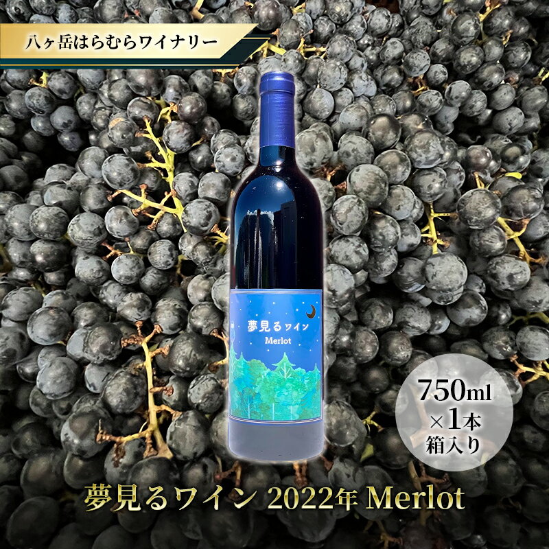 【ふるさと納税】八ヶ岳はらむらワイナリー 夢見るワイン Merlot 箱入り 1本　 お酒 長野県産メルロー ミディアムボディ 赤ワイン 果実感 さわやかな酸味 スパイシー 程よいタンニン