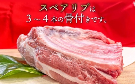 庄内グリーンポーク“ぶーみん” スペアリブ 4パックセット　肉バルYAKU禄