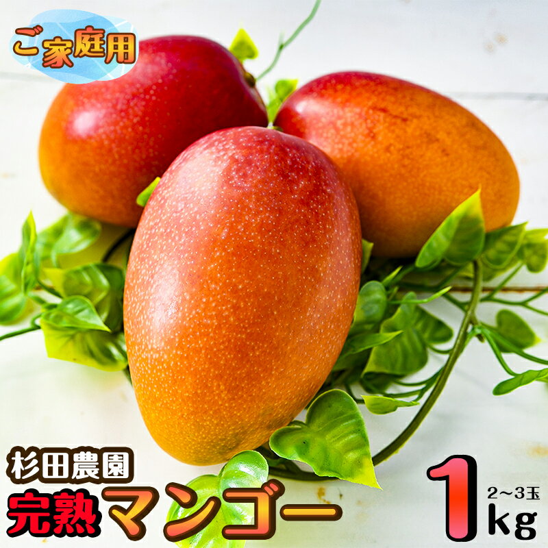 【ふるさと納税】杉田農園 完熟マンゴー約1kg「訳あり」ご家庭用（西都産）＜1.3-25＞【楽天限定】ふるさと納税 訳あり 宮崎県 西都市産 人気 さいと サイト ふるさと 宮崎 果物 フルーツ