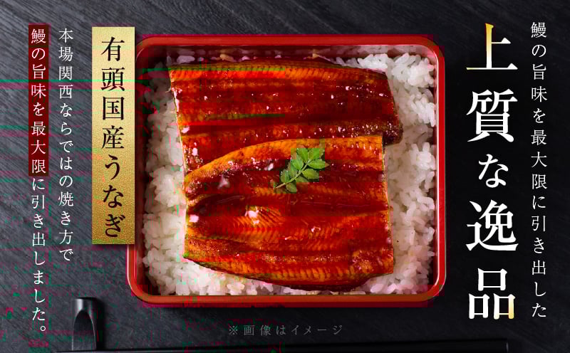 【7/19土用の丑の日】五郎藤 国産 関西風 地焼き有頭旨鰻 120g×2尾＆アトランティックサーモン 200g×2パック【食べ比べ】 020C405c