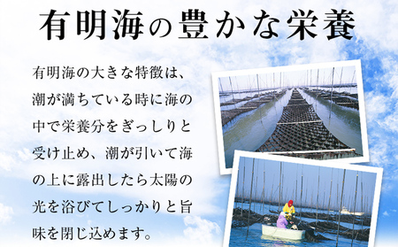 有明海産一番摘み　大丸ボトル味海苔　8切80枚　5本セット