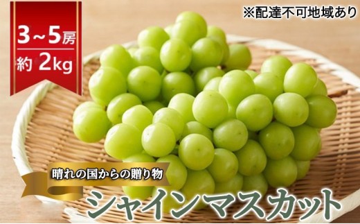 
            [№5615-0676]早期受付 ぶどう 晴れの国 シャインマスカット 2kg（3～5房）化粧箱入り 岡山県 高梁市 ブドウ 葡萄 果物 フルーツ
          