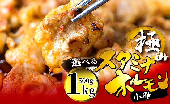 
            【タレ揉み】 極みの スタミナ ホルモン 小腸 500g/1kg  小分け タレ付き | ほるもん 牛肉 牛ホルモン モツ しょうちょう 焼き肉 BBQ 味付け肉 キャンプ アウトドア 京都 舞鶴
          