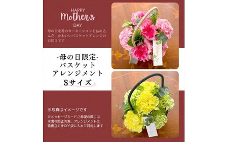 《母の日限定》カーネーションのバスケットアレンジメント(Sサイズ)ピンク系＜出荷時期：2026年5月6日～5月9日＞