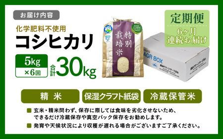 【令和5年産】【定期便6回】 化学肥料不使用コシヒカリ 精米 5kg×6回  / 白米 米 福井県あわら市産 美味しい 特別栽培米 減農薬 安心な米 旨味 甘み もっちり エコファーマー こしひかり 