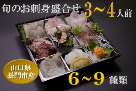 (1255)刺身 盛り合わせ 冷蔵 「旬のお刺身盛合せ」地魚 3～4人前 仙崎 新鮮 配達不可エリア有り 新潟 東北 北海道 沖縄 配達不可 配送日時指定可能 