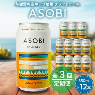 【ふるさと納税】【毎月定期便】【与謝野町産ホップ使用クラフトビール】 ASOBI　350ml ×12本セット全3回【4058785】