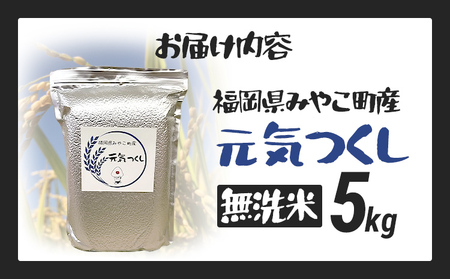 米 元気つくし （無洗米） 5kg 新米予約 福岡県 みやこ町産 チャック付き 防虫 ごはん おにぎり おやつ 福岡県 福岡 九州 グルメ お取り寄せ