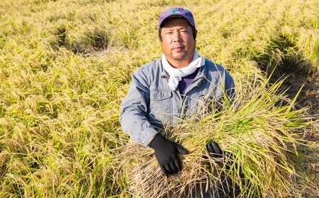 【6ヶ月定期便】日永園 ヒノヒカリ 白米10kg×6ヶ月 【2025年11月下旬より発送予定】 米 お米 ご飯  うきは市