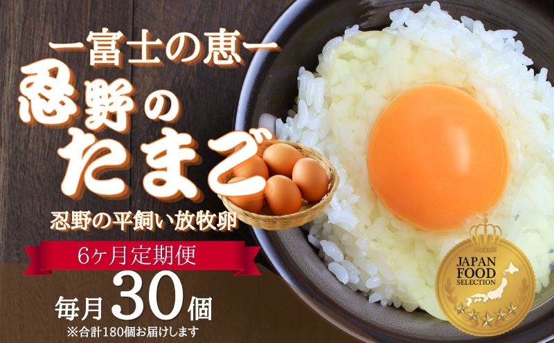 【定期便】忍野の平飼い放牧卵　6か月連続定期便（毎月30個×6か月　合計180個）||　　鶏卵　都留　忍野　新鮮　こだわり　名水　卵　たまご　玉子　タマゴ　大容量　お得　おしののたまご　濃厚　平飼い