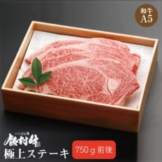 【2023年5月上旬発送】極上ステーキ750g 前後【飯村牛】和牛A5ランク