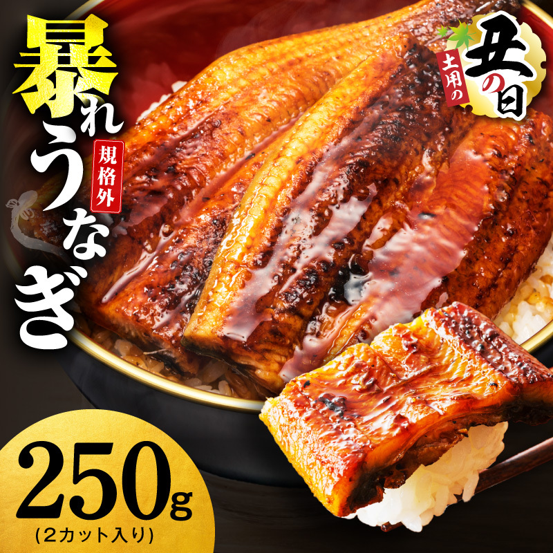 【土用の丑の日までにお届け】うなぎ 暴れ盛り 250g（2カット）【規格外 お試し 鰻 かば焼き 簡単調理 訳あり サイズ不揃い 人気 惣菜 うな重 うな丼 ひつまぶし】 G3973d