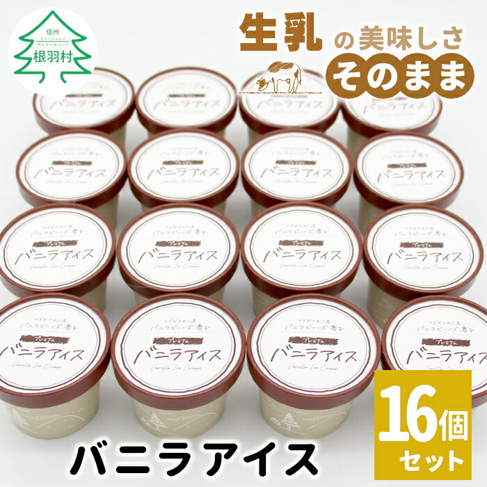 【ふるさと納税】NEW★マダガスカル産 バニラビーンズを使用しした！濃厚 バニラアイスクリーム 16個入り 80ml 生乳 牛乳 ミルク スイーツ アイスクリーム バニラ　マダガスカル産 バニラビーンズ 10000円 プレミアム バニラアイス バニラアイスクリーム