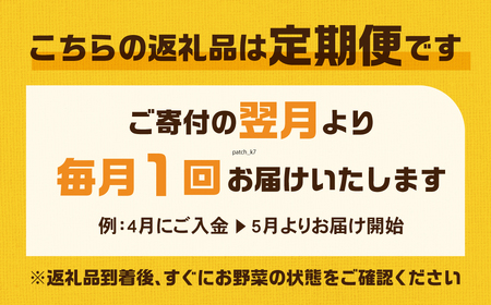 【定期便 】旬彩野菜セット定期便6回 旬の野菜 7品目以上