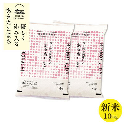 【ふるさと納税】秋田県産 予約受付開始!あきたこまち【令和7年産】無洗米10kg(5kg×2)《10月中旬より発送》【配送不可地域：離島・沖縄県】【1414477】