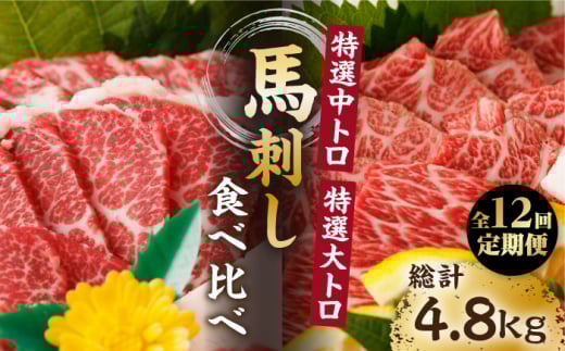 【12回定期便】特選霜降り馬刺し 中トロ大トロ2種食べ比べセット 計400g（各2pc）＋タレ大 馬刺し 特選霜降り馬刺し 馬刺し 馬肉 桜肉 馬 肉 特選 霜降り 中トロ 大トロ タレ付き 冷凍 おつまみ 刺身 九州 熊本県 特産品 山鹿 送料無料【馬刺しの郷 民守】[ZBL107]