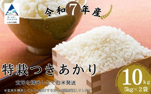 特栽つきあかり 精米 白米 （玄米10kgを精米したて白米発送）令和7年産 こしひかり | 石川県 小松市【のむら農産】