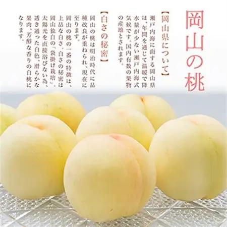 【先行受付】岡山県産　詰合せ/白桃とシャインマスカット『晴王』 化粧箱入り【配送不可地域：離島・北海道・沖縄県】【1281366】
