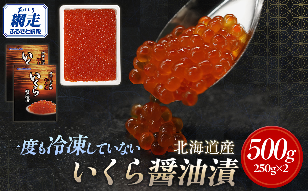 【2025年産新物先行予約】北海道産 一度も冷凍していない いくら醤油漬 250g×2（令和7年10月より順次発送） ABR025