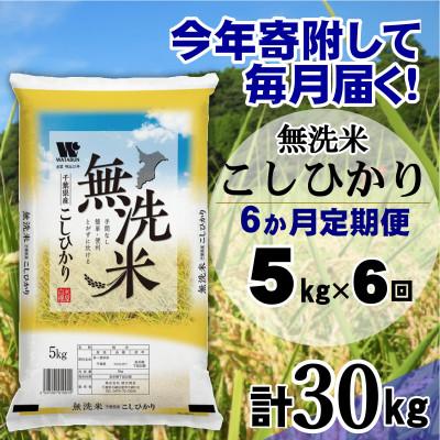 ふるさと納税 大網白里市 【毎月定期便】コシヒカリ 無洗米 5kg(5kg×1袋)全6回