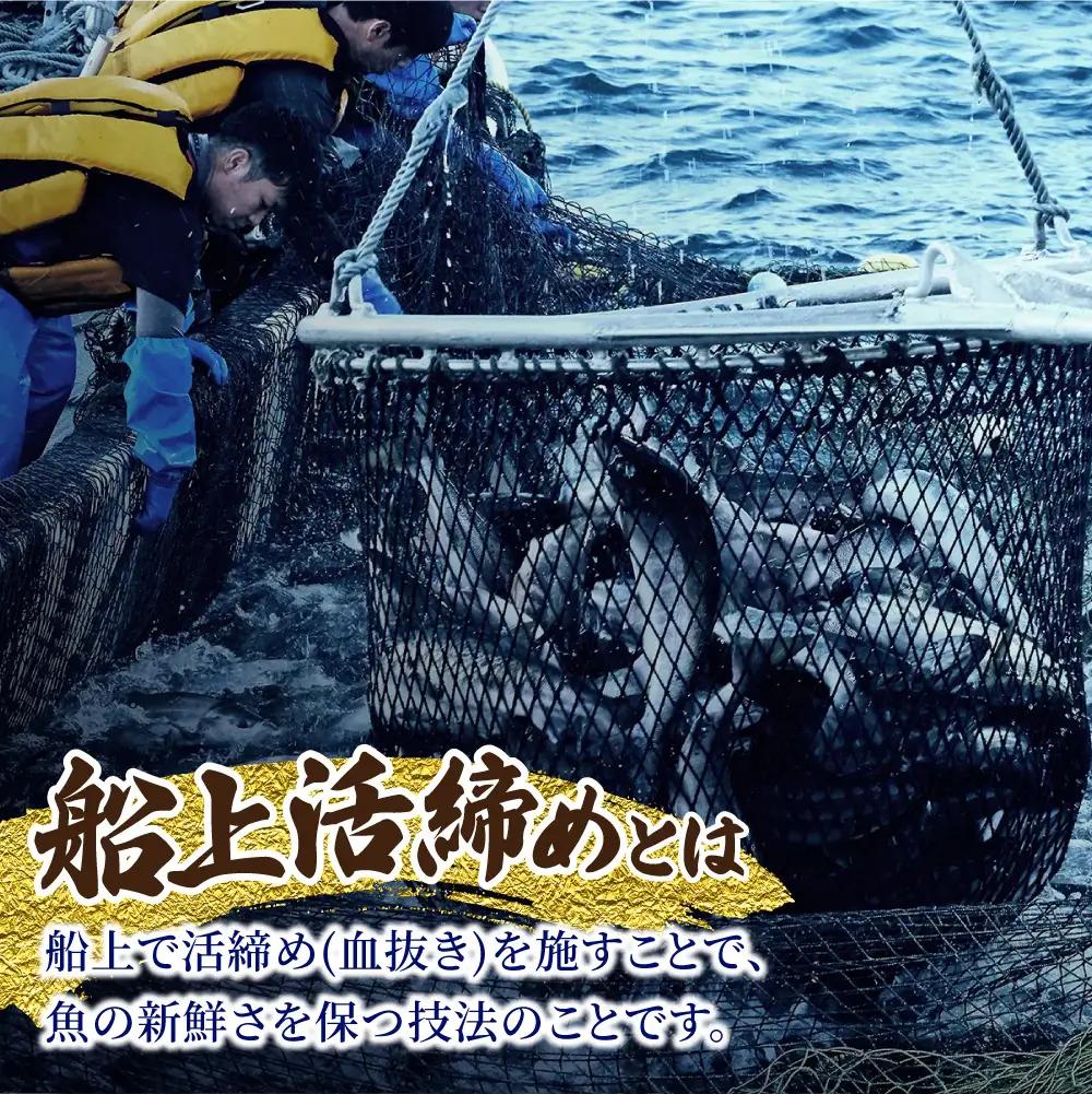 【先行受付】〈数量限定〉 知床斜里産 天然秋鮭カマ＆ハラス 1.5kg  鮭