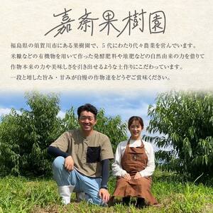 ＜先行受付＞ 嘉斎果樹園の桃「まどか」約3kg（8～11個） もも モモ 桃 デザート フルーツ 果物 くだもの 果実 食品 F7X-0140