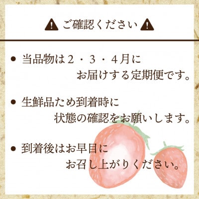 【発送月固定定期便】博多あまおう(250g-270g)×4P(岡垣町)全3回【配送不可地域：離島・北海道・沖縄県】