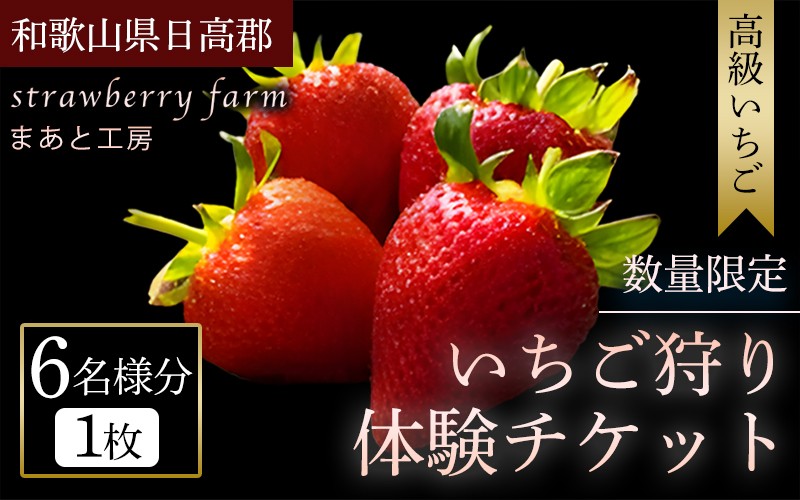 
                  【体験】 【開催期間 2027年1月1日～5月7日】 オリジナルいちごと人気ブランドいちごの食べ比べ いちご狩り体験チケット ( 6名様分)【maato007】
                