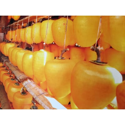 
磐田市敷地特産ころ柿　4パック【1417442】
