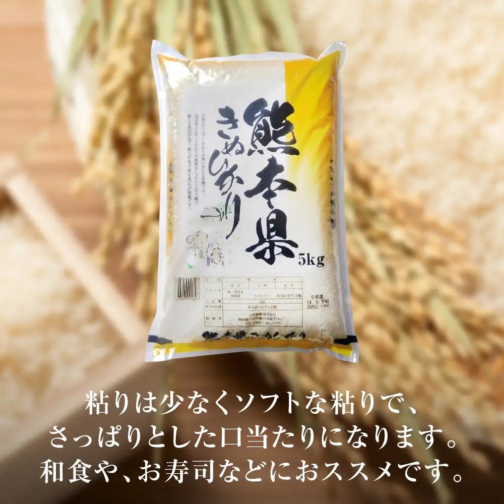 精米 【先行予約】 《令和8年産》 熊本県産 きぬひかり 5kg (5kg×1袋) 【2026年9月上旬より順次発送】 精米