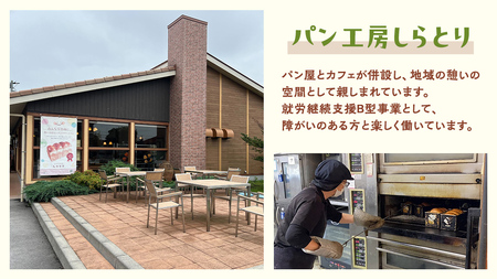 茨城県産 小麦の レーズンパン 2斤 2本 セット 食パン パン 小麦 冷凍 レーズン プレゼント ギフト [AU007ci]