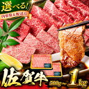 【ふるさと納税】【選べる量・発送月】とろける焼肉！ 佐賀牛 焼肉用 500g/1kg （バラ or 肩ロース or モモ）吉野ヶ里町 [FDB021]