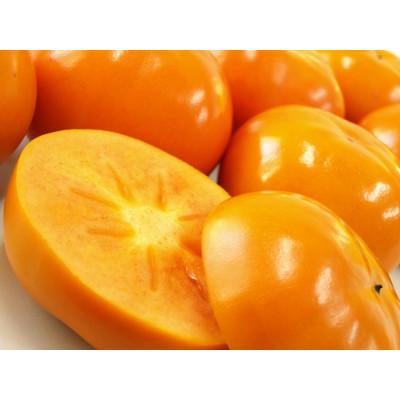 ふるさと納税 橋本市 【先行受付】贈答用　たねなし柿　3kg