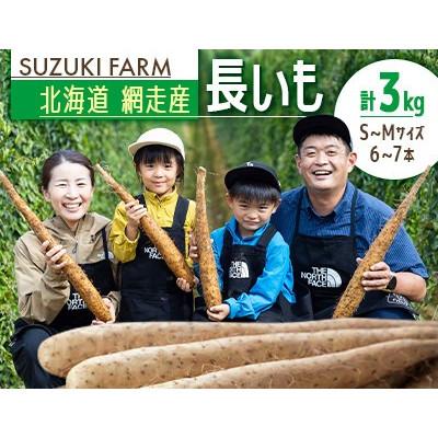 ふるさと納税 網走市 令和7年産　SUZUKI FARM　長いも　3kg(S〜Mサイズ 6〜7本)