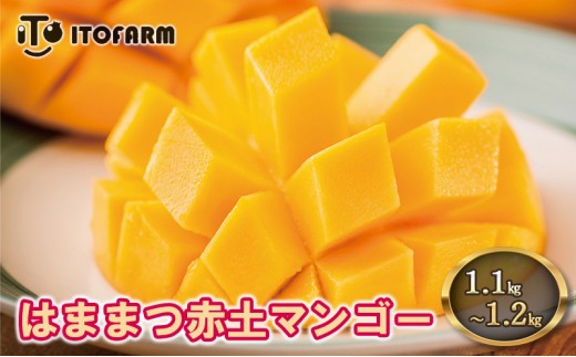 
                  【受付期間7月10日まで】完熟マンゴー 浜松赤土産 1.1kg以上～1.2kg未満 期間限定 フルーツ 贅沢 果物 果汁 芳醇 上質 濃厚 ジューシー 食品 デザート おやつ ご褒美 高糖度 国産 産地直送 特産品　浜松市 [№5360-0034]
                