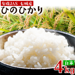 令和7年産 有機JAS 七城産ひのひかり 精米 4kg《30日以内に出荷予定(土日祝除く)》 渡辺農産熊本県 菊池市 米 お米 精米 ひのひかり 菊池市産 熊本県産 九州産 送料無料