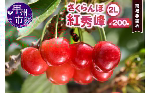 甲州市産大粒さくらんぼ 童夢の「紅秀峰」簡易手詰め（約200g 2Lサイズ）【2025年発送】（DOM）A08-141