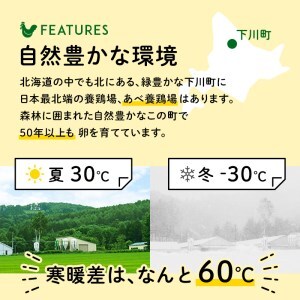 2.5kg 約45個（40個＋割れ補償5個） 約半世紀卵づくり一筋 ！『下川六〇酵素卵』 下川ろくまる あべ養鶏場 たまご 玉子 タマゴ ふるさと 納税 国産 北海道産 北海道 下川町 F4G-015