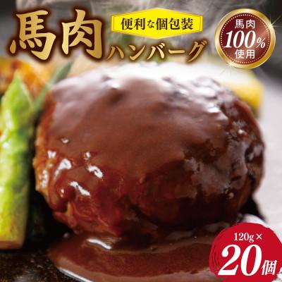 ふるさと納税 泉佐野市 馬肉ハンバーグ　120g×20個　099H3402