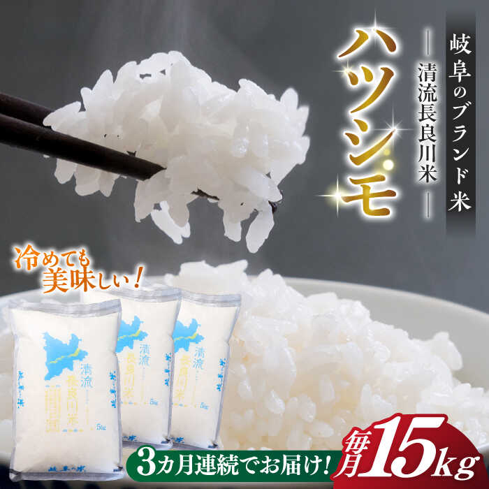 【ふるさと納税】【3回定期便】【R7年産】 岐阜 ハツシモ 15kg 名水 100選に選ばれた 長良川 中流の水で育った 「清流長良川米」 ハツシモ はしつも 長良川 清流米 すし飯 冷めても美味しい お米 米 こめ 白米 15kg 15キロ 定期便 岐阜市 / 森ライス [ANCU011]