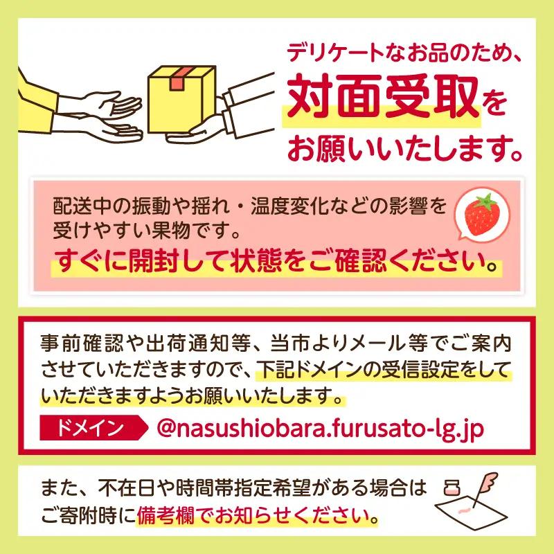 【先行受付】栃木県産　とちあいか約250ｇ×4パック【栃木県共通返礼品】【2027年1月下旬～発送予定】　ns120-001 いちご とちあいか 