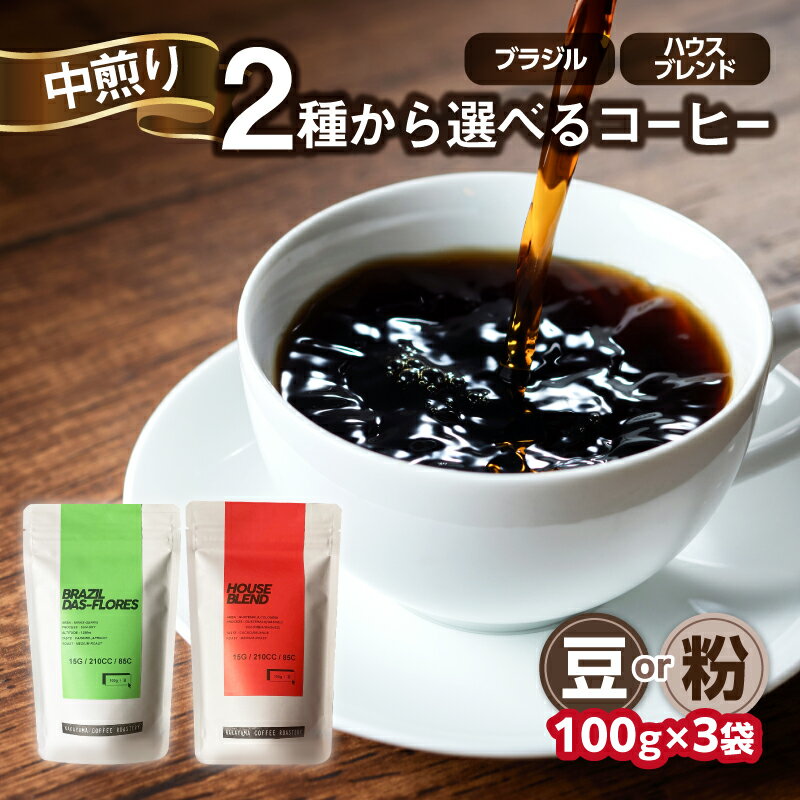 【ふるさと納税】 中山珈琲焙煎所 自家焙煎コーヒー 中煎り 選べる種類（ブラジル、ハウスブレンド）選べるタイプ（豆or粉）100g×3袋 合計300g コーヒー豆 珈琲 コーヒー コーヒー粉 中煎り 京都府 木津川市