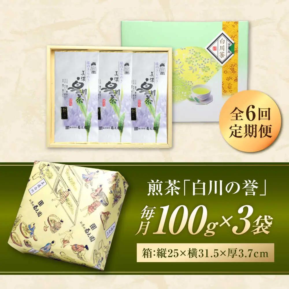 【6回定期便】本格 高級茶セット 100g×3袋 化粧箱入り / 菊之園[AWAG010]お茶ギフト
