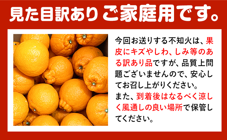 【ご家庭用】紀州有田産 不知火 ( しらぬひ )  約3kg 魚鶴商店 《2026年2月中旬-3月中旬頃出荷》 和歌山県 日高町 不知火 柑橘 果物 フルーツ デコポンと同品種 訳あり不知火 訳ありデ