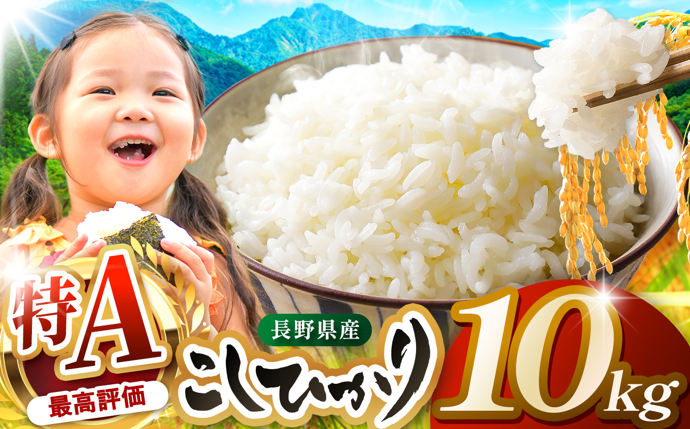 米 10kg  コシヒカリ 令和7年産 JA上伊那 コシヒカリ 今ずり米 5kg 2袋 長野 上伊那産 お米 長野県産 こしひかり 10キロ 白米 精米 信州産 特産 産地直送 おすすめ こめ コメ 
