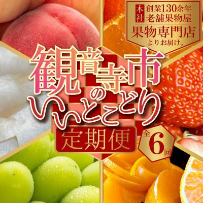 ふるさと納税 観音寺市 【発送月固定定期便】観音寺市のいいとこどり定期便♪(7月・8月・9月・12月・1月・2月)全6回