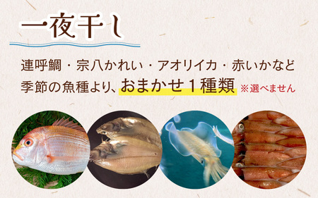 【季節の魚種一夜干し】旬の干物5品セット