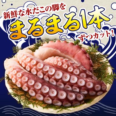 ふるさと納税 えりも町 えりも【マルデン特製】北海道産お刺身用たこ足1kg【er002-082】 |  | 01