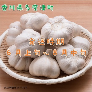 多度津町産　乾燥にんにく（予約受付中： 令和6年6月中旬より発送！）【B-21】