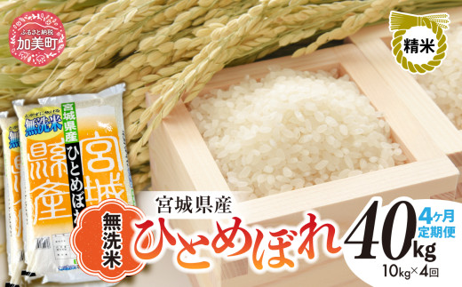 【4回定期便】R7 宮城県産 ひとめぼれ 無洗米 10kg×4回 [ 宮城県 加美町 菅原精米 ] 米 こめ コメ ご飯 sw-hb10-mu-t4-r7